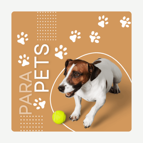 Para Animais